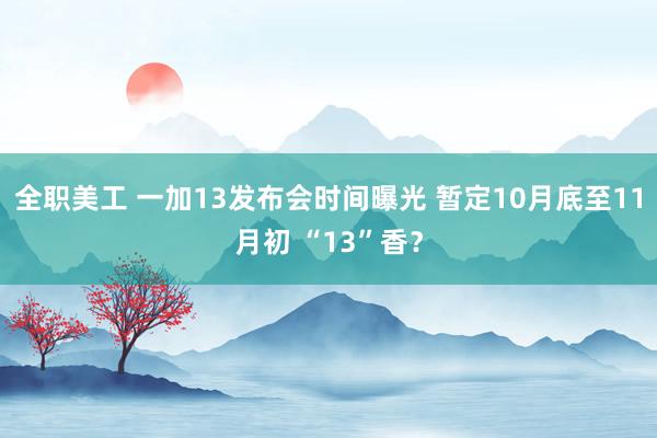 全职美工 一加13发布会时间曝光 暂定10月底至11月初 “13”香？